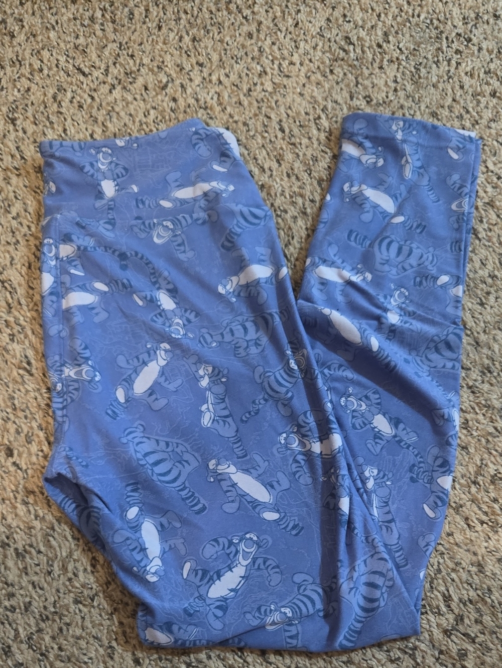 Kids Blue Tigger Print Leggings